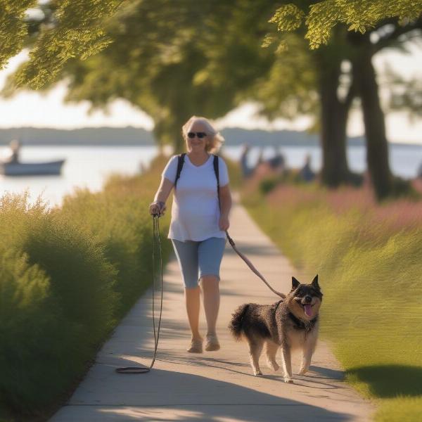 Dog enjoying a walk in Mitchell Park, Greenport.