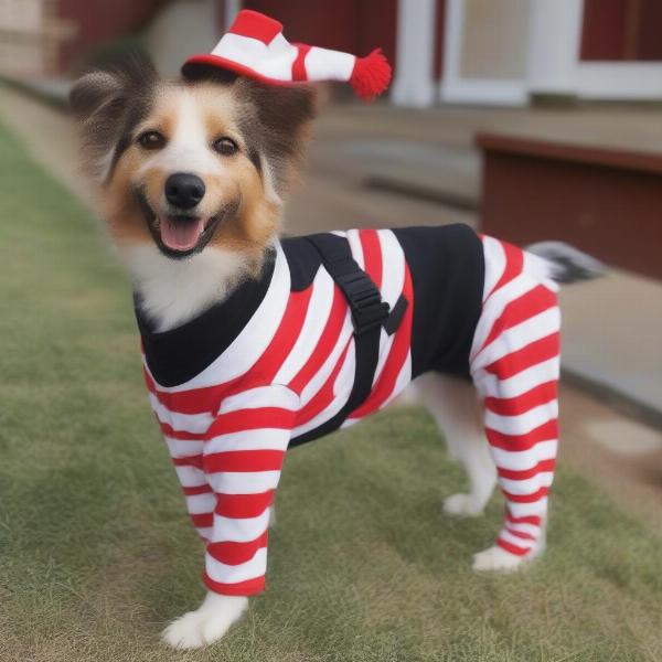 Dog Comfortably Wearing a Where's Waldo Costume