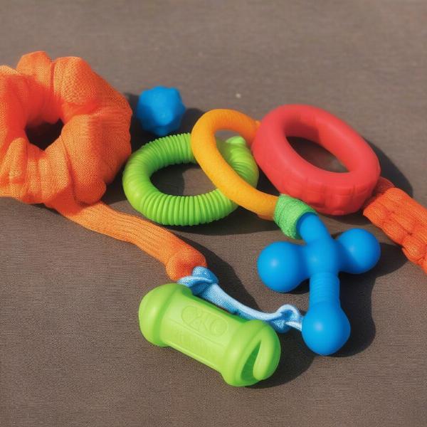 Durable Dog Run Toys