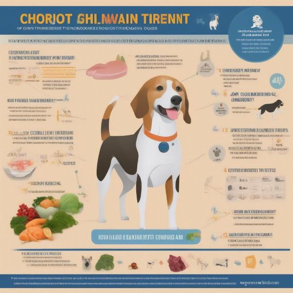 Essential Nutrients for Joint Health in Dogs