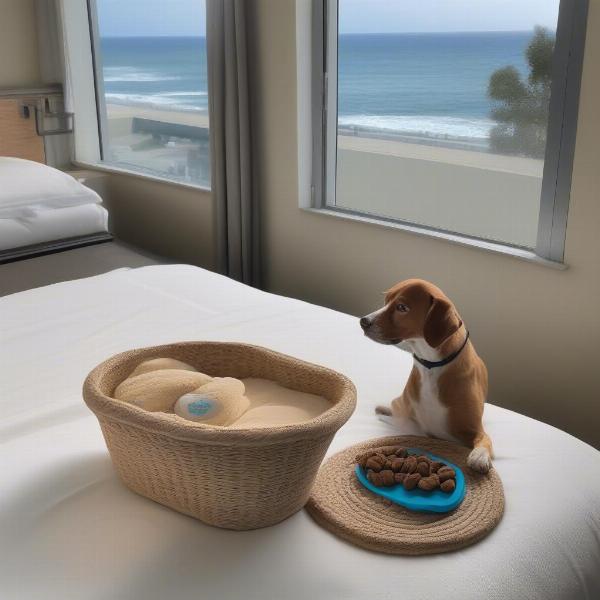 Dog-friendly amenities at a hotel in Fort Bragg