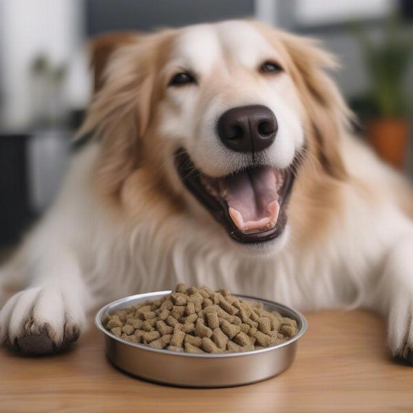 Dog enjoying freeze-dried raw food