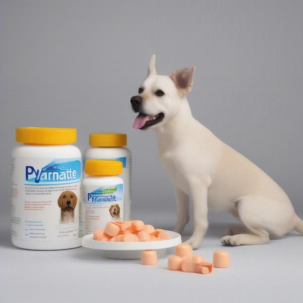 Giving a Dog Pyrantel Pamoate