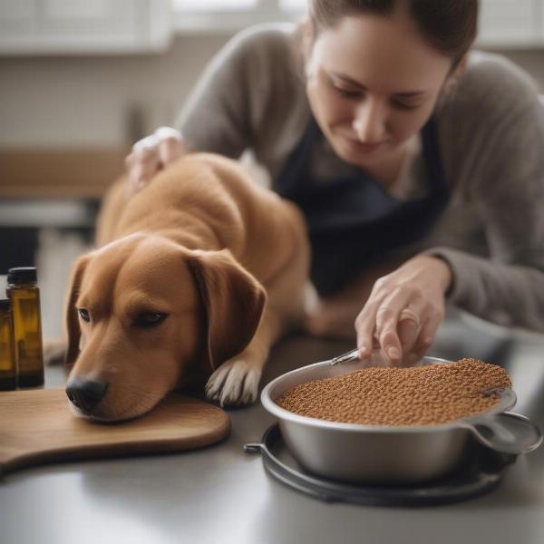 Giving MCT Oil to a Dog