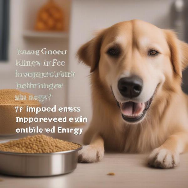 Benefits of Grain-Free Dog Food