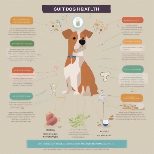 Gut Health in Dogs