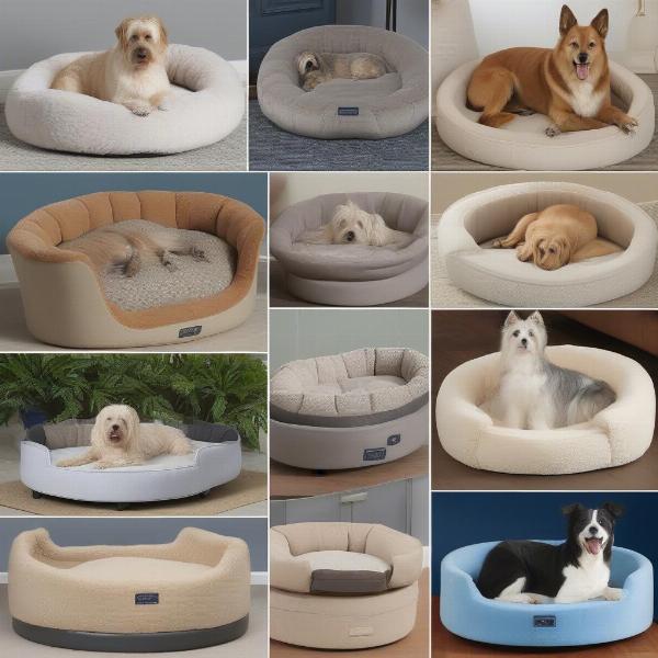 Different Styles of Halo Dog Beds