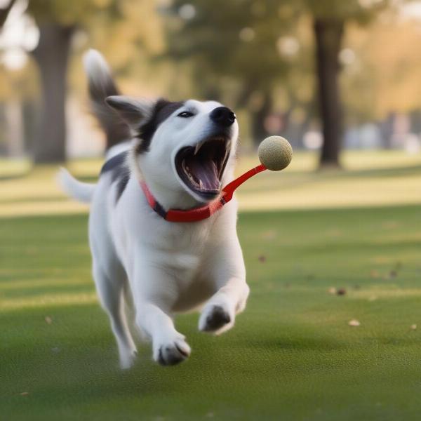 Happy Dog with Owner