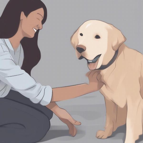 Healthy Dog Interaction