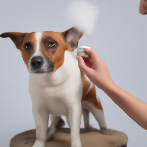 Applying hotspot powder to a dog