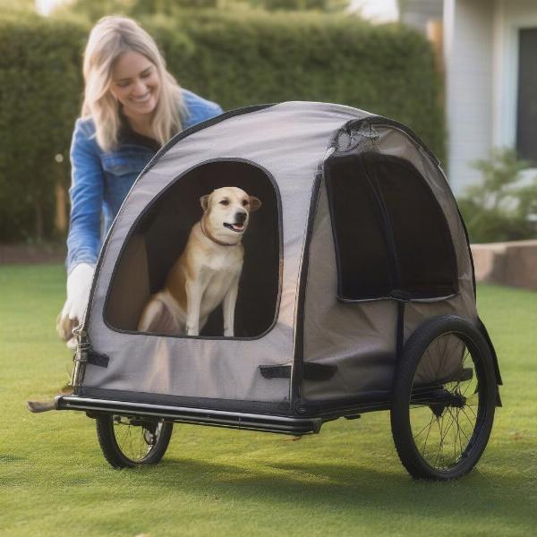 Training Your Dog to Use a Bicycle Trailer