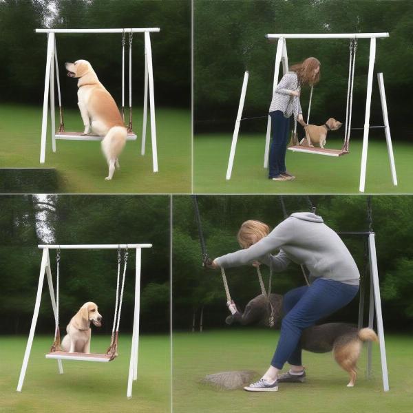 Introducing Your Dog to a Swing