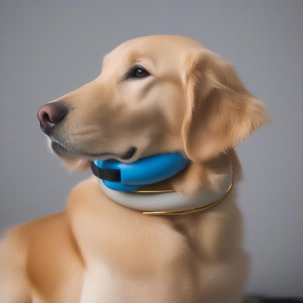 Inflatable Dog Collar Buster