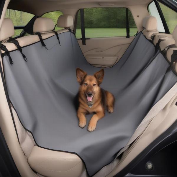 Installing a Rear Seat Dog Cover