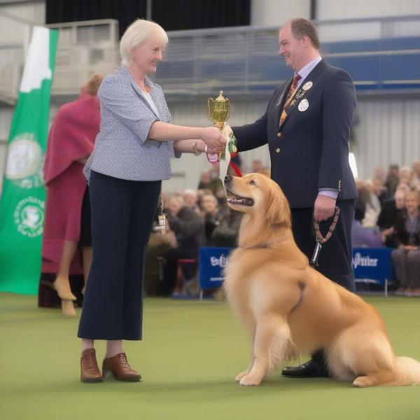 Irish Dog Show Best in Show