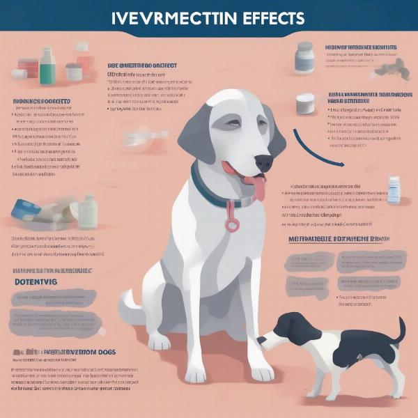 Ivermectin Side Effects in Dogs