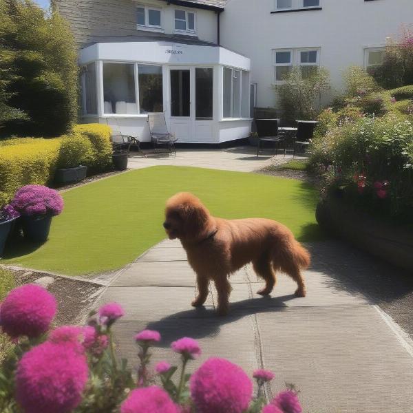 Dog-Friendly Hotels in Westward Ho!