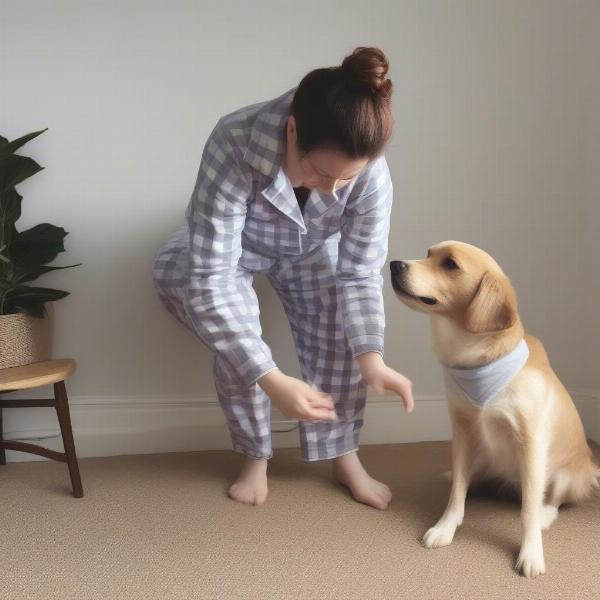 Checking the fit of dog pyjamas