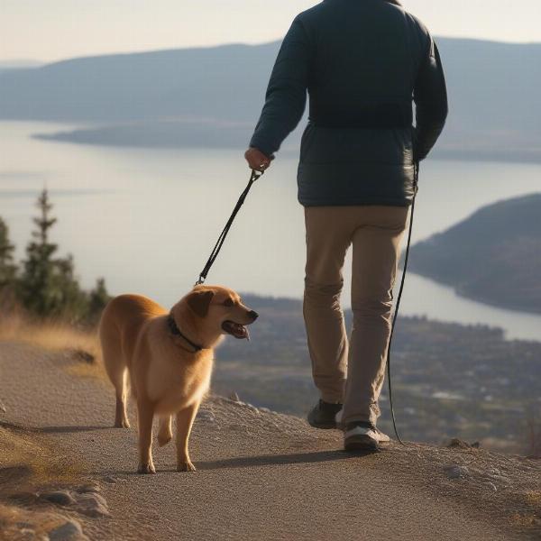 Dog hiking on Knox Mountain with Okanagan Lake in the background