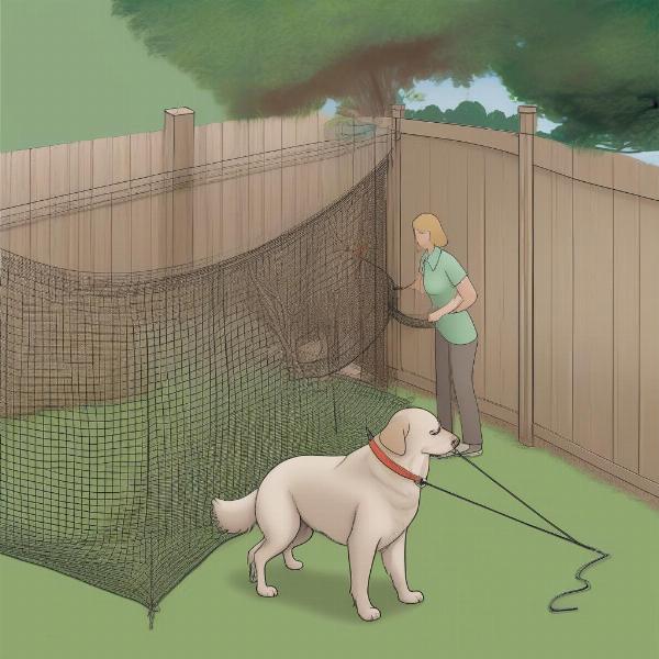 Installing a dog net in the backyard