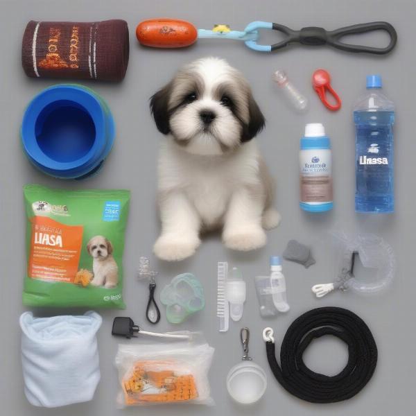 Lhasa Apso puppy supplies