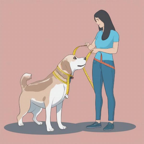 Measuring a Medium-Sized Dog for a Car Seat