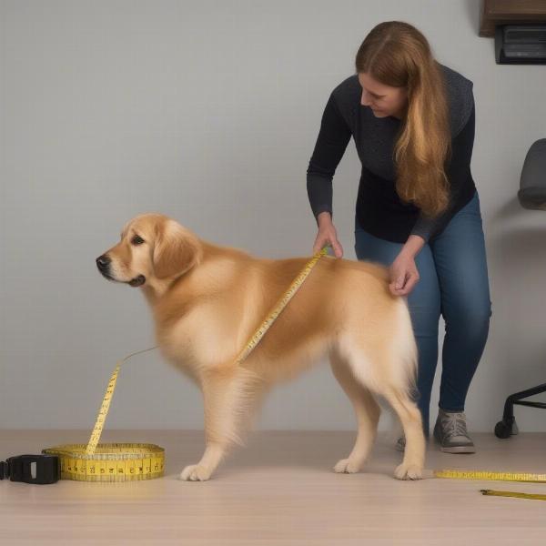 Measuring a Dog for a Crate