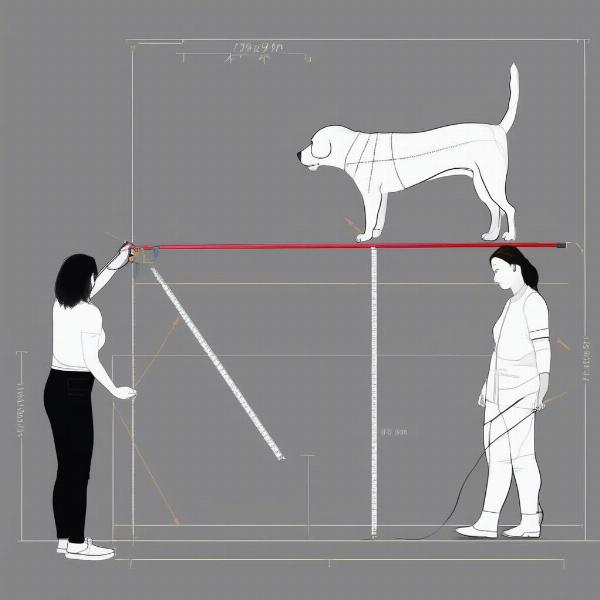 Measuring a Dog for an Ellie Bo Cage