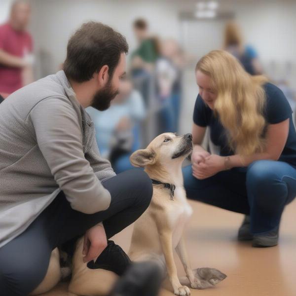 Meeting a rescue dog in Milton Keynes