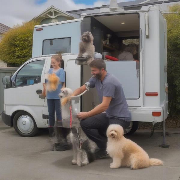 Mobile Dog Grooming in Christchurch: Convenience at Your Doorstep