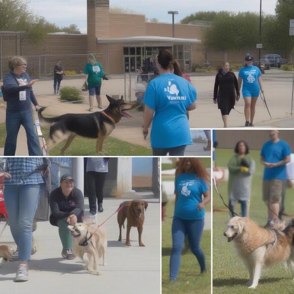 Morrow County Dog Shelter: A Community Resource