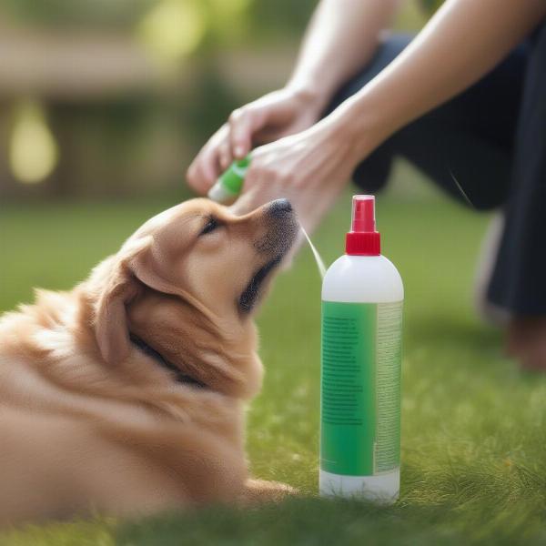 Natural Bug Spray for Dogs