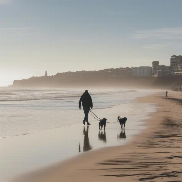 Walking a dog on Newcastle Beach