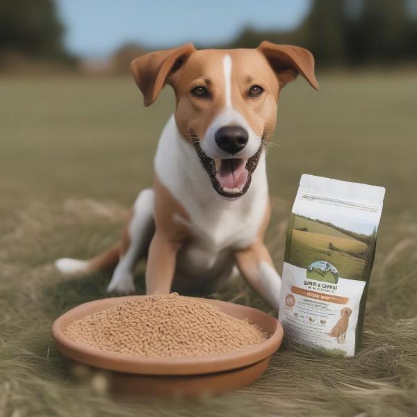 Open Farm Grain-Free Dog Food Benefits