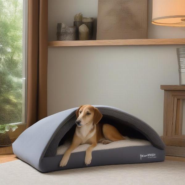 Orthopedic and anxiety-reducing dog beds for special needs