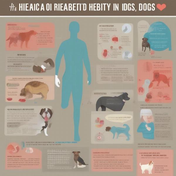 Overweight Dog Health Risks