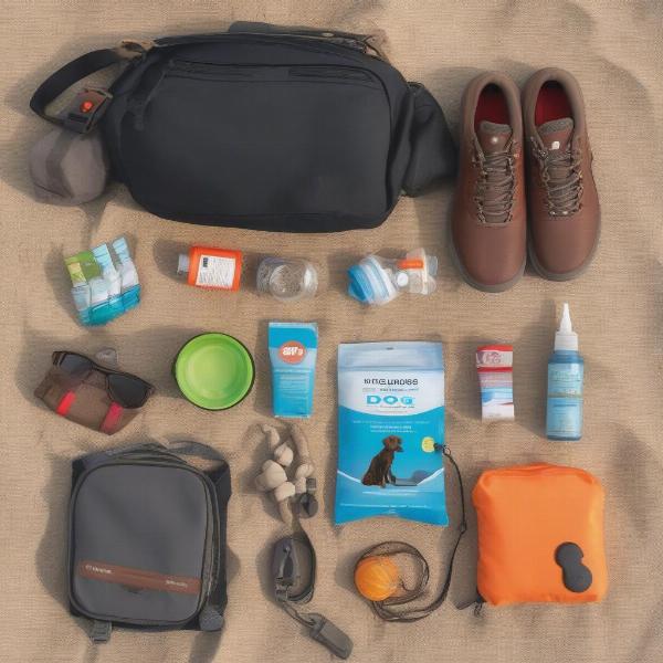 Packing essentials for a dog-friendly trip to Mission Beach