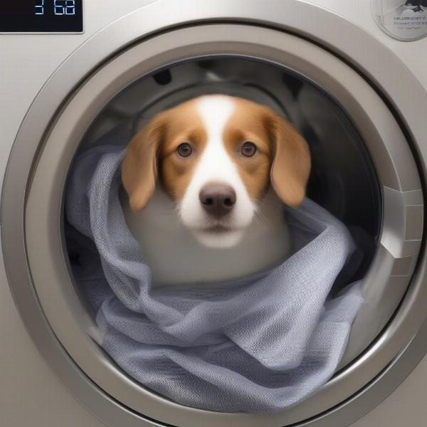 Washing a Padres dog jersey