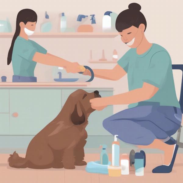 Preparing your dog for a grooming appointment in Gilbert