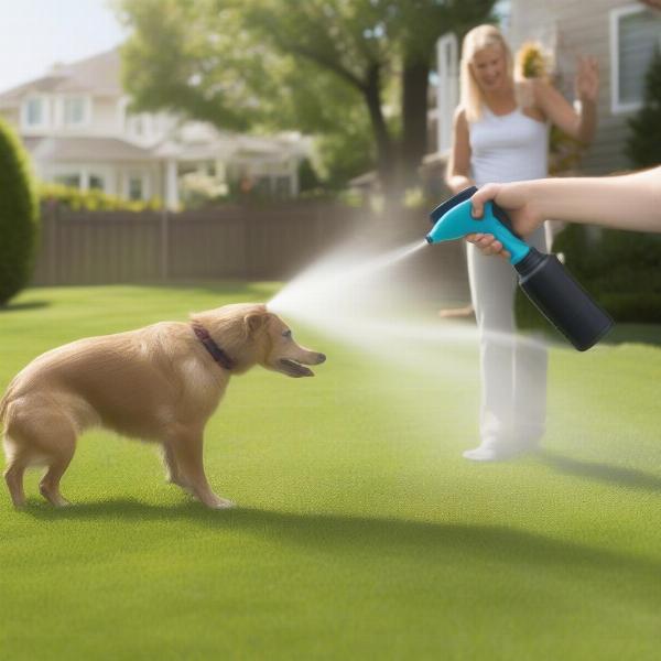 Preventing Dog Pooping in Your Yard