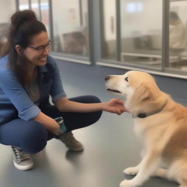 Meeting a potential rescue dog at Pupcakes