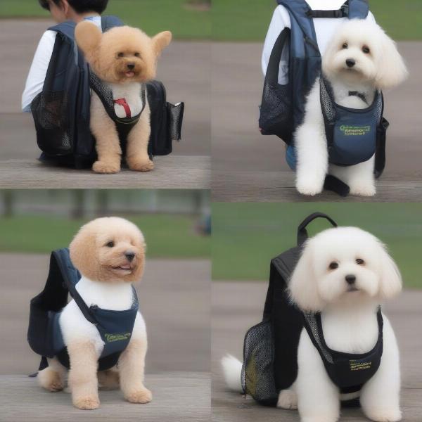 Different Types of Puppy Dog Backpacks