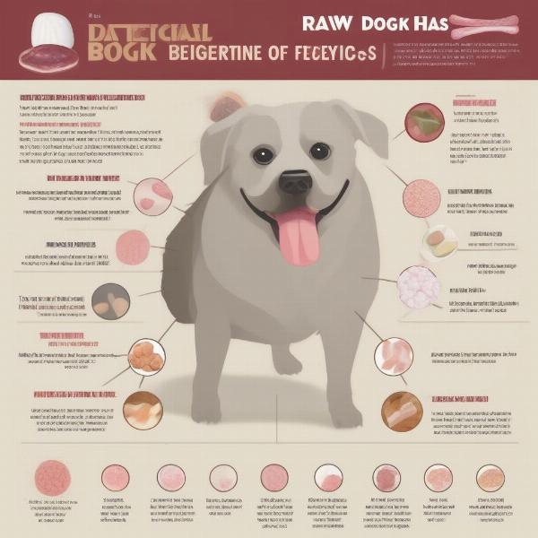 Raw Dog Food Bacteria Risks