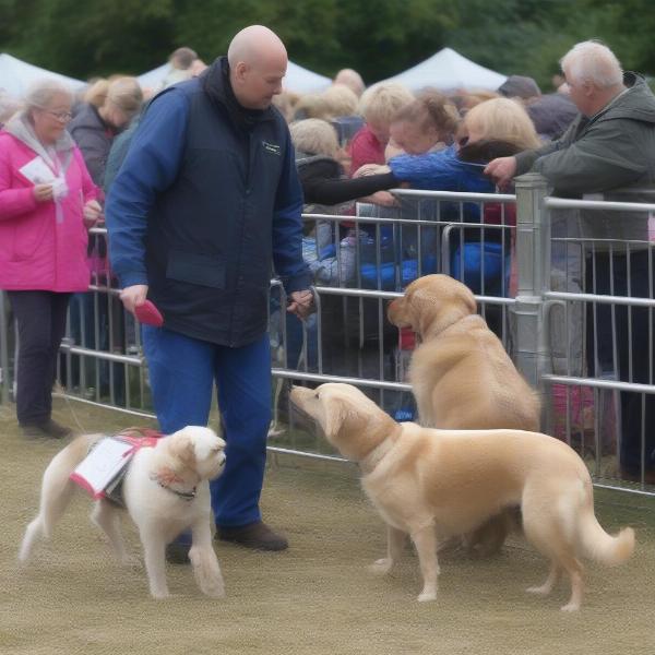 Responsible Dog Handling at Skipton