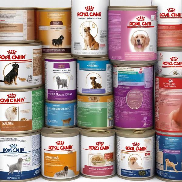 Royal Canin Canned Dog Food Variety