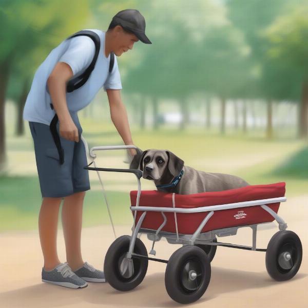 Ensuring a Safe and Enjoyable Dog Wagon Ride