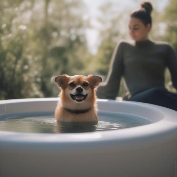 Dog safely enjoying a jacuzzi session with owner supervision