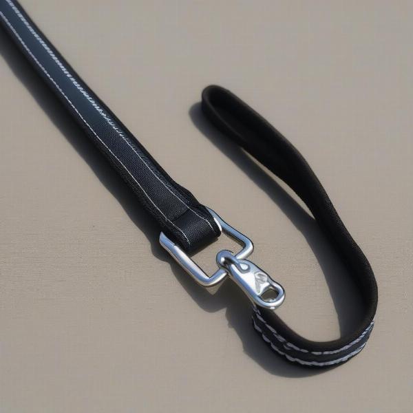 Key Features of a Short Dog Lead