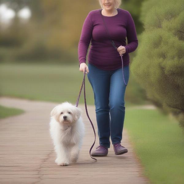 Dog Walking with a Slip Lead