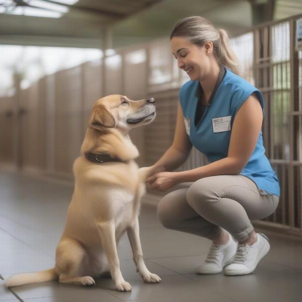 Staff member interacting with a dog at a pet resort